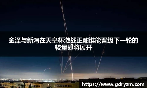 熊猫体育网站