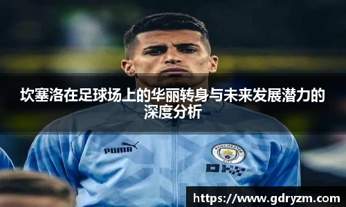 熊猫体育app官网入口